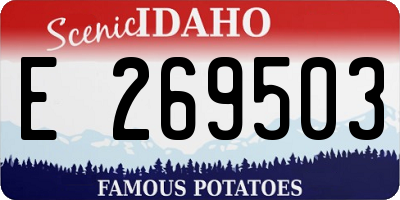 ID license plate E269503