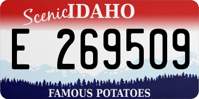 ID license plate E269509