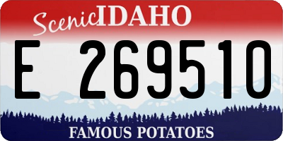 ID license plate E269510