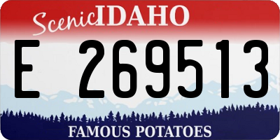 ID license plate E269513