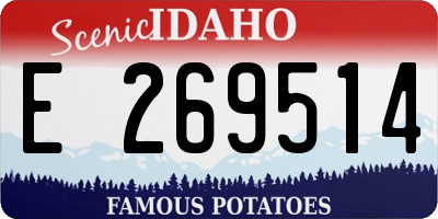 ID license plate E269514