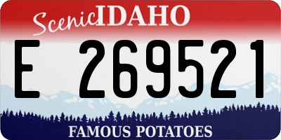 ID license plate E269521