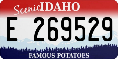 ID license plate E269529