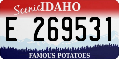 ID license plate E269531