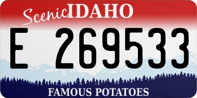 ID license plate E269533