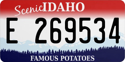 ID license plate E269534