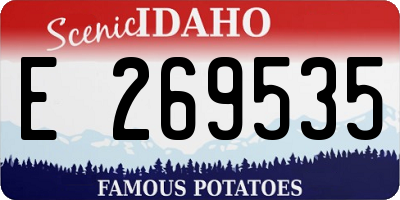 ID license plate E269535