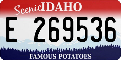 ID license plate E269536