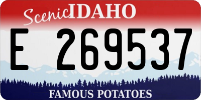 ID license plate E269537