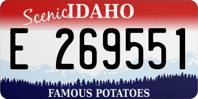 ID license plate E269551