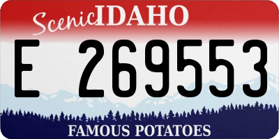 ID license plate E269553
