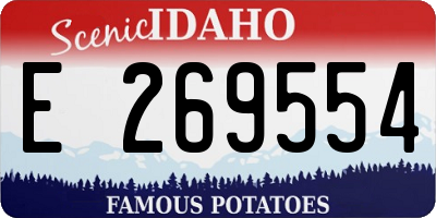 ID license plate E269554