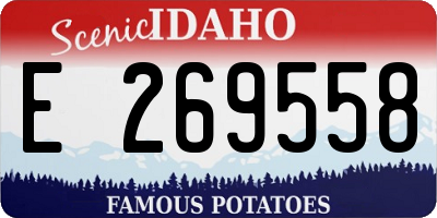 ID license plate E269558