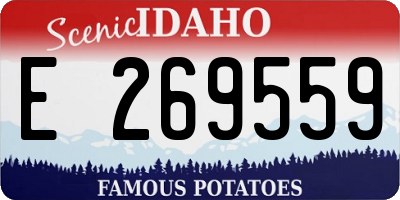 ID license plate E269559