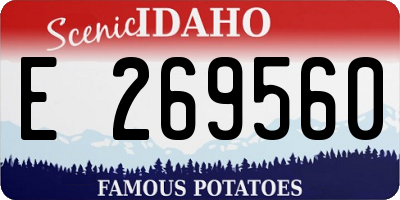 ID license plate E269560