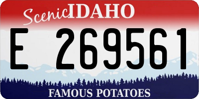 ID license plate E269561