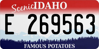 ID license plate E269563
