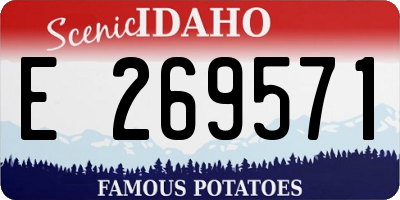 ID license plate E269571