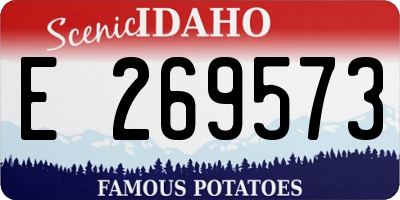 ID license plate E269573