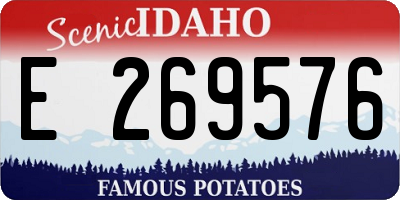 ID license plate E269576