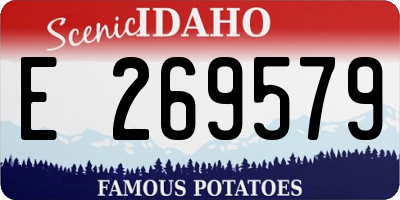 ID license plate E269579