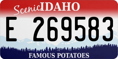 ID license plate E269583
