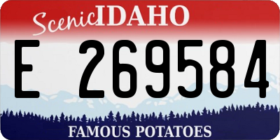 ID license plate E269584