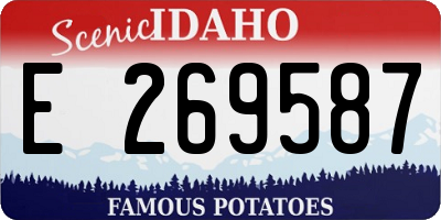 ID license plate E269587