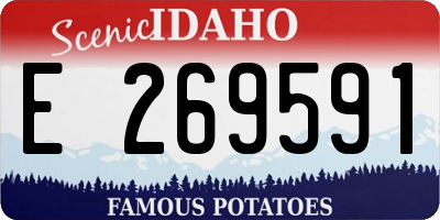 ID license plate E269591