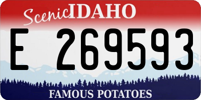 ID license plate E269593
