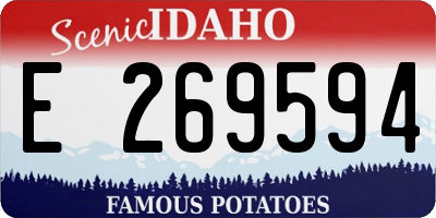 ID license plate E269594