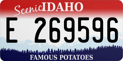 ID license plate E269596