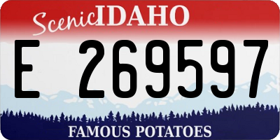 ID license plate E269597