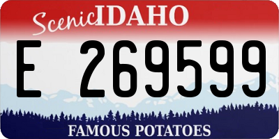 ID license plate E269599