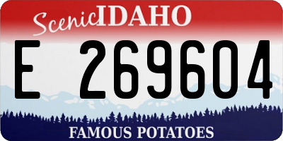 ID license plate E269604