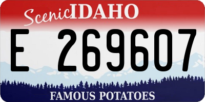 ID license plate E269607