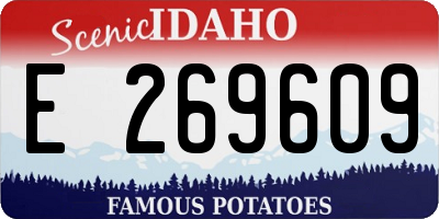 ID license plate E269609