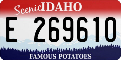 ID license plate E269610
