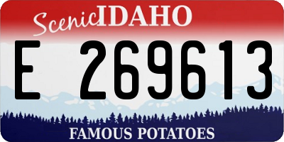 ID license plate E269613