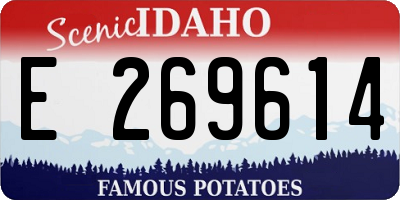 ID license plate E269614