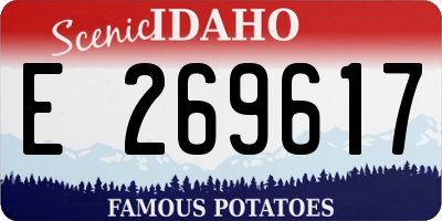ID license plate E269617