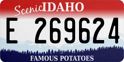 ID license plate E269624