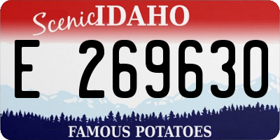 ID license plate E269630