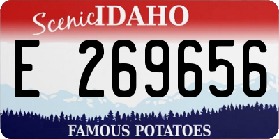ID license plate E269656