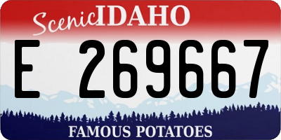 ID license plate E269667