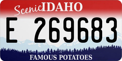 ID license plate E269683