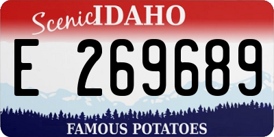 ID license plate E269689
