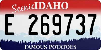 ID license plate E269737
