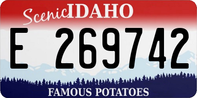 ID license plate E269742