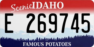 ID license plate E269745